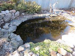 Be mindful that when times are tough, a contractor will take any job even though they may not have the. Cleaning Silt Etc From Bottom Of Pond Garden Pond Forums