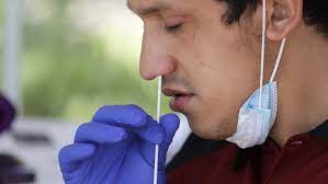 • gently insert the entire soft tip of the swab (~1 inch) into one nostril until you feel a bit of resistance. As Businesses Reopen Workplace Testing Is The Wild West The Pew Charitable Trusts