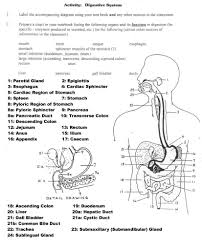 Image Result For Anatomy Labeling Worksheets Digestive System Anatomy Digestive System Worksheet Body Systems Worksheets