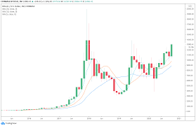 While supporters of bitcoin point to its usefulness. Jpmorgan Turns Bullish On Bitcoin Citing Potential Long Term Upside