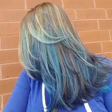 Complexion is the shade of your skin as in light, medium, dark. Ombre Light Brown And Blue Hair Novocom Top