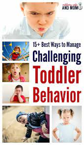 15+ Best Ways To Manage Aggressive Behavior In Toddlers - The Military Wife  And Mom