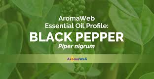 Yes one can substitute black pepper for black peppercorns. Black Pepper Essential Oil Uses And Benefits Aromaweb