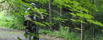 Mcdade Recreational Trail Delaware Water Gap National Recreation Area U S National Park Service