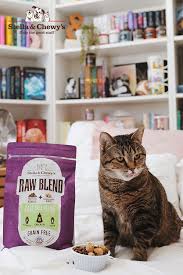 Raw Blend Kibble For Cats Natural Pet Food Food Animals Raw Pet Food