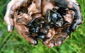 Resultado de imagen para chevron ecuador
