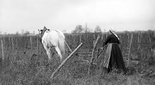 Le rôle des femmes dans la deuxieme guerre mondiale. 11novembre Les Femmes Dans La Grande Guerre Ministere De L Agriculture Et De L Alimentation