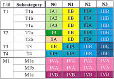 the eighth edition tnm stage classification for lung cancer