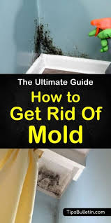 13 Reliable Ways To Get Rid Of Mold At Home In 2020 Get Rid Of Mold Mold In Bathroom House Cleaning Tips