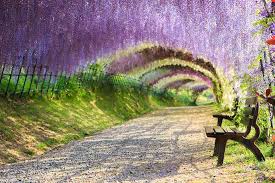 Just browse down the list and get lost in their colors and shapes. The World S Most Beautiful Tree Tunnels Revealed