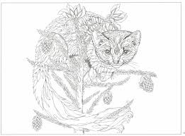 Color the pictures online or print them to color them with your paints or crayons. Pin On Adult Coloring Pages To Save And Print