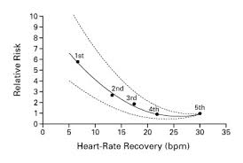 heart rate recovery immediately after exercise as a