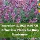 Free Garden Class: Effortless Plants for Busy event image