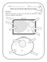 Maybe you would like to learn more about one of these? Plant Animal Cells Study Guide Plant And Animal Cells Animal Cell Study Guide