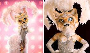 The kitty proved she really does have nine lives on the masked singer. she made it into the final six competing on april 29 by winning her smackdown against the banana last week. The Masked Singer Spoilers Is This Who The Kitty Is Major Clue Confirms Identity Tv Radio Showbiz Tv Express Co Uk