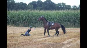 Bei einem reitunfall findet immer eine bewegung von oben nach unten statt, man fällt von oben nach unten. Sturz Vom Pferd Auf Stoppelfeld Ich Bin Doch Nur N Herzschlag Entfernt Youtube