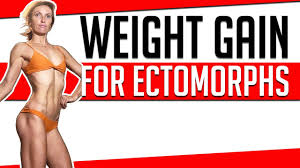 weight gain for ectomorphs you