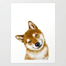 Smile Shiba Inu Art Print By Bignosework Society6 Posters Art Prints Animal Canvas Art Prints