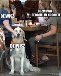 Последние твиты от michał dziwisz (@mdziwisz). Dziwisz Najlepsze Memy Zdjecia Gify I Obrazki Kwejk Pl