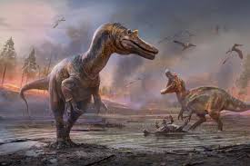 Image result for Dinophora