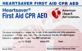 We did not find results for: First Aid And Cpr Instructor Salary The Y Guide
