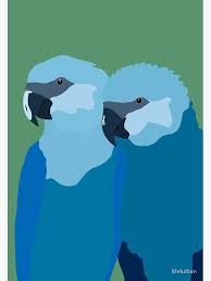 Láminas fotográficas: Guacamayo Spix