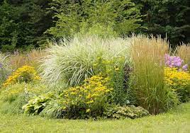 Check spelling or type a new query. Des Plantes Sans Entretien Pour L Exterieur Jardiner Malin