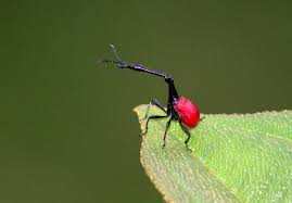 Pin En Wonder Of Nature