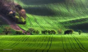 Oto dziesięć głównych powodów, dla których warto odwiedzić morawy. Najpiekniejsze Foto Miejsca Na Morawach Poludniowych Duze Zdjecia B Anita