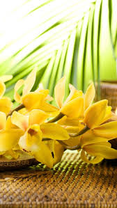 Snap, tough, & flex cases created by independent artists. High Quality Yellow Flowers Iphone Wallpaper Traxzee