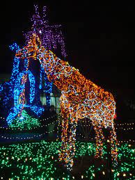 Garden Of Lights Brookside Gardens Garden Of Lights Garden Lighting Lights