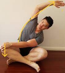 We did not find results for: Quadratus Lumborum Stretch 12 Different Exercises Posture Direct