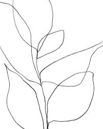 Black And White Line Drawing Prints Black White Minimalist Botanical Line Drawing Print Modern Etsy Line Art Unframed Art Prints White Canvas Art