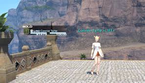 Ff14 キャラやパーティリストの名前をイニシャル表記にする方法 コニーのタルト 豆知識集