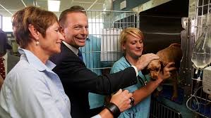 Northside hospital is a network of hospitals and medical facilities in the atlanta, georgia metropolitan area. Northside Emergency Veterinary Service Officially Opened By Maisie Abbott And Her Pm Owner Daily Telegraph