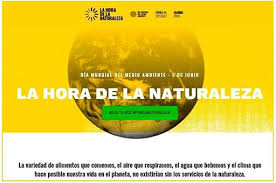 Desde bioparc queremos celebrar todos juntos el día del medio ambiente 2021 y os invitamos a hacerlo también desde dentro de nuestros parques y acuarios con todo el respeto que la madre naturaleza se merece. 5 De Junio Dia Mundial Del Medio Ambiente El Lema De Esta Edicion Es La Hora De La Naturaleza