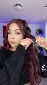 Ledysmancera (ledysmancera)