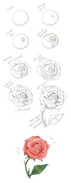 After drawing a rose, the first thing you'll want to do is color it in. How To Draw A Rose Pinterest On We Heart It