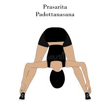 Yoga Pose Prasarita Padottanasana Stock Vector Illustration Of Strength Vector 154783714