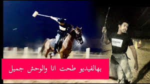 لا يفوتك شاهد الحصان الأدهم كما ذكره رسول الله بوصفه خير الخيل الأدهم Youtube