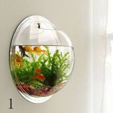 Wall Type Mini Aquarium Fish Bowl Mini Aquarium Fish Bowl Fish Tank