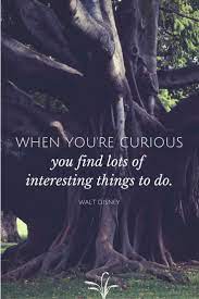 When You Re Curious Wonder And Company Walt Disney Quotes Disney Quotes Words