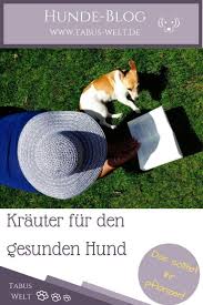 Wirkung & nebenwirkungen mensch hund anwendung test tipps & tricks +++ jetzt mehr erfahren +++. 40 Schon Mittel Gegen Zecken Im Garten Inspirierend Garten Anlegen