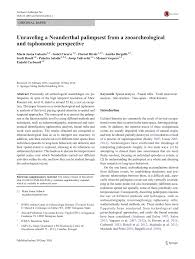 At gabu where the ageless tide recurs. Pdf Unraveling A Neanderthal Palimpsest From A Zooarcheological And Taphonomic Perspective