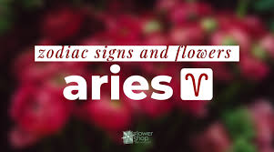 A libran is keen on balance, fair play and according to history and astrology justice for all too. Zodiac Signs And Flowers Aries