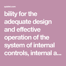 Bility For The Adequate Design And Effective Operation Of The System Of Internal Controls Internal Auditors Play A Sign Internal Control Control International