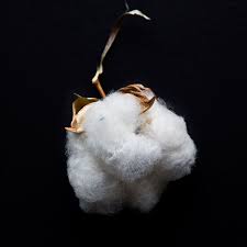 How long does cotton on take to ship. Planet Money Makes A T Shirt