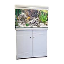 $9,900+ / ships in 12 weeks. Boyu Aquarium Fish Tank Cabinet 60cm 80l White Buy Online In El Salvador At Elsalvador Desertcart Com Productid 69437818