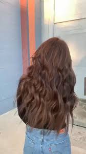 For brunettes, a hairstyle with highlights in light chocolate might be just the thing. Dark Brown Hair With Cinnamon Balayage Cinnamon Balayage Cinnamon Hair Dark Brown Hair Balayage