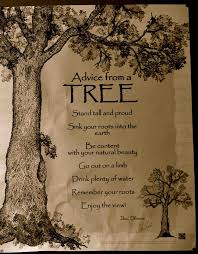 Roots Tree Of Life Quotes Quotesgram